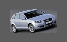 Audi A3 / S3 (Type 8P Pre-Facelift) 2003-2008 Headlights CLEAR Stone Protection