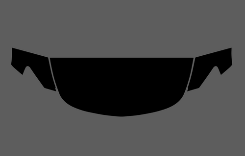 Mercedes-Benz AMG GT GTS (C190) Bonnet & wings CLEAR Paint Protection