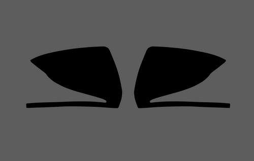 Mercedes-Benz C Class (W205) Door Mirror Covers CLEAR Paint Protection