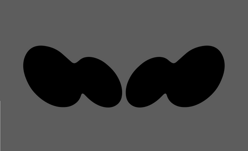 Mercedes-Benz SL Class (R230) Headlights CLEAR Stone Protection