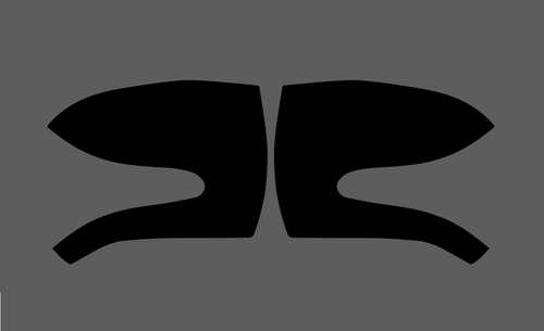 Mercedes-Benz E Class (W211) Door Mirror Covers CLEAR Paint Protection