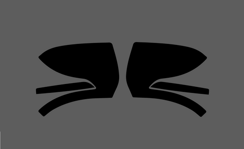 Mercedes-Benz E Class (W211) Door Mirror Covers CLEAR Paint Protection